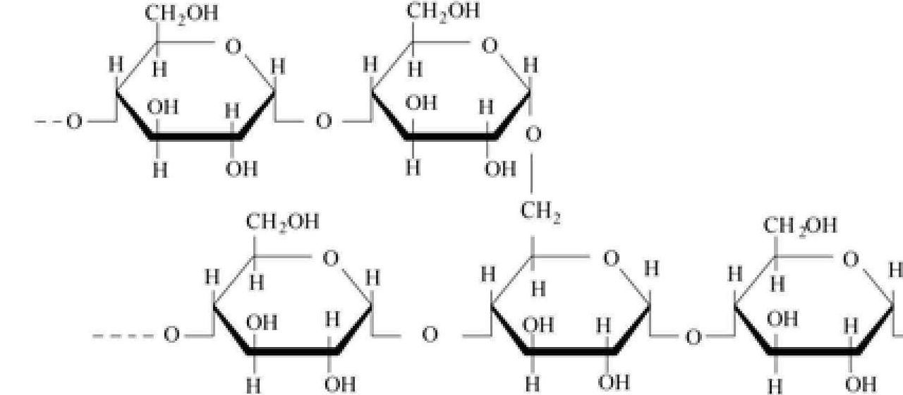 二、淀粉的化学结构